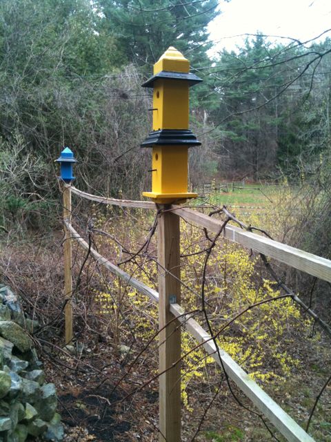 Yellow Birdhouse and Forsythia Yellow Birdhouse and Forsythia