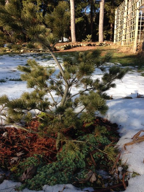 Winter Melt