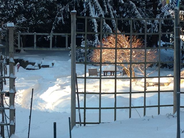 Loop Groomed for Snow Play