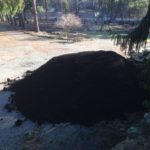 Ten Yards of Compost on the Driveway at Rest.Stop.Ranch