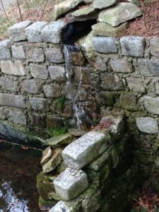 Koi Pond Waterfall