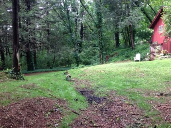 Cottage Backyard is Cleared