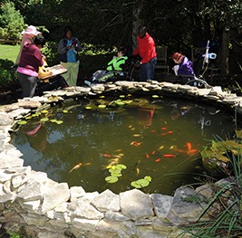 Misc_aroundpond
