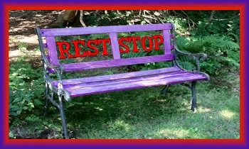 Purple and Red Bench Shows Solidarity with Dementia Victims, Survivors, and Advocates