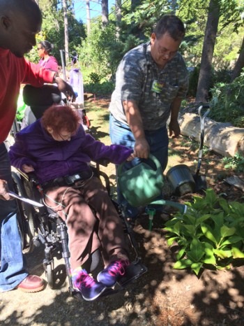 Plant Donated by Burlington NE-ARC Group