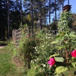 Flower Tower in the Kitchen Garden