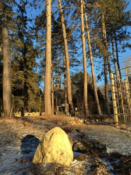 Zen Awakenings