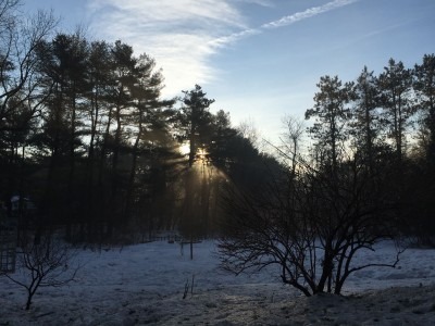 Sunrise on a Sunny Day
