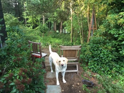 Backwoods Portal Opened!