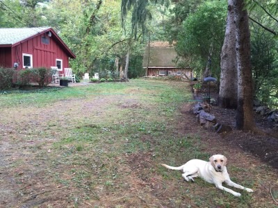 Miss Honey and the Cottage Perimeter