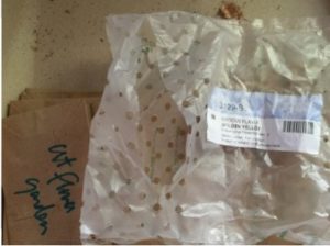 Empty Bulb Bags
