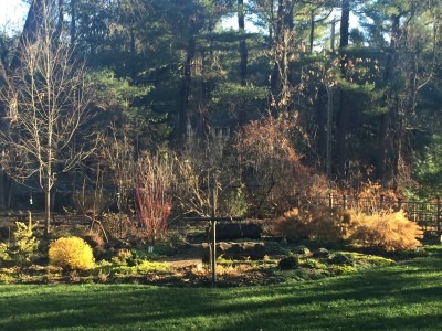 Ornamental Garden on Nov. 23, 2015