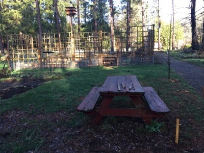 Pear Tree Picnic Area - Before Photo