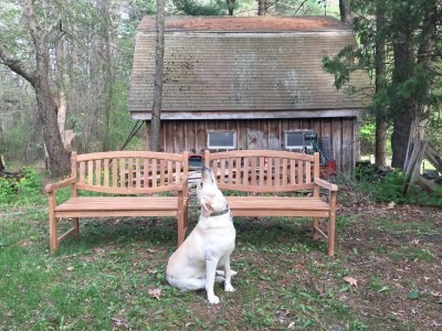 Cottage Garden Benefits from Benches