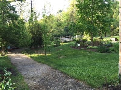 Pear Tree Patio ~ Before Photo