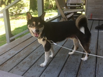 On the Front Kitchen Porch