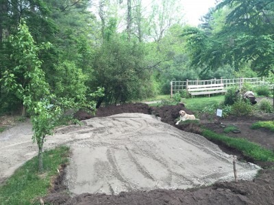 Pear Tree Patio Development: Day 1