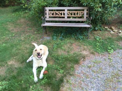 Miss Honey Stops and Rests