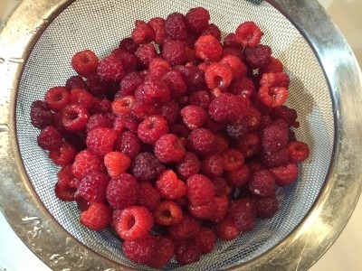 Fresh-picked Raspberries
