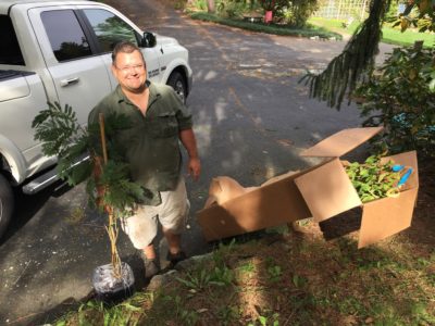 Karl Unpacks Mimosa and Dogwood Trees