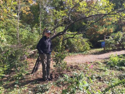 Mary: A foot taller than the Dogwood