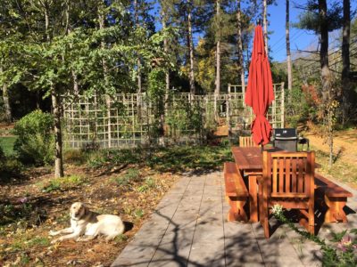 Farm-to-Table @ the Pear Tree Patio