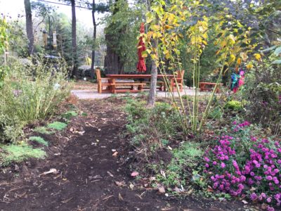Greater Access Inside Ornamental Garden (2)