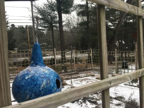 Bird House Gourd Offers Shelter from Winter Storms
