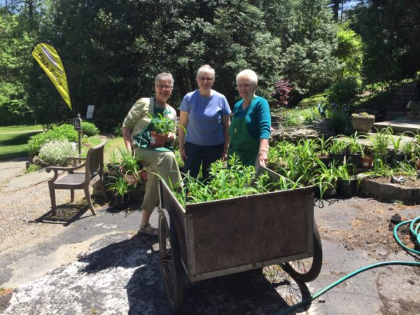 Sandra Lawson, Kathy Doane, and Paulette Misins donate 101 plants on Saturday, May 20, 2017
