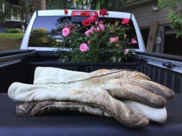 Working Gloves, RAM 2017 & Roses
