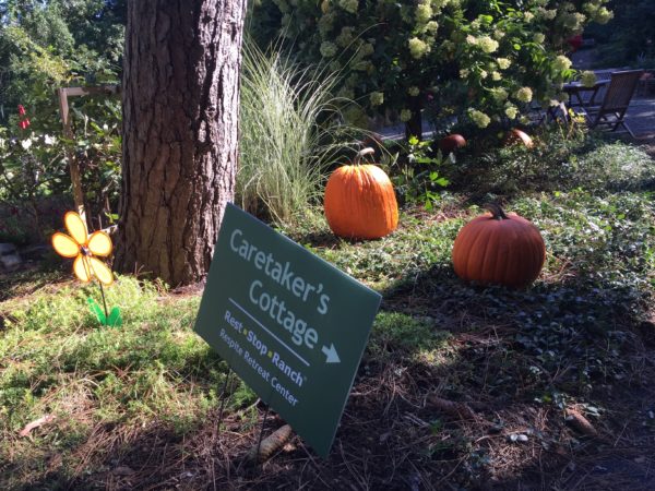 Pumpkins await Decorations & Carving