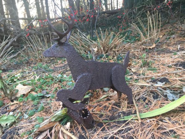 Reindeer in Our Backyard