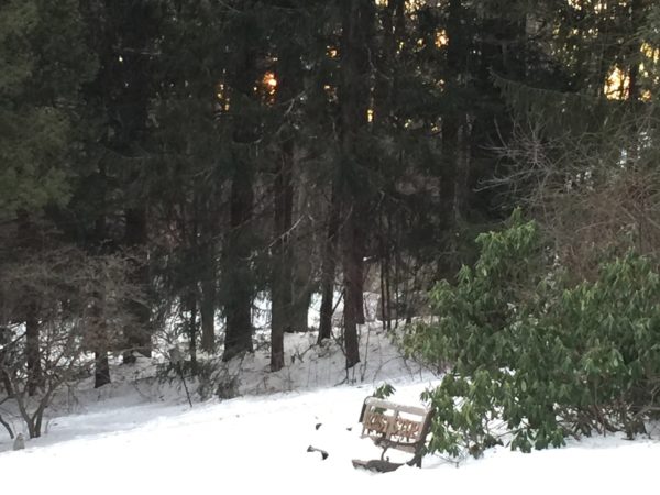 East Lawn White-Out Doesn't Cover Bench