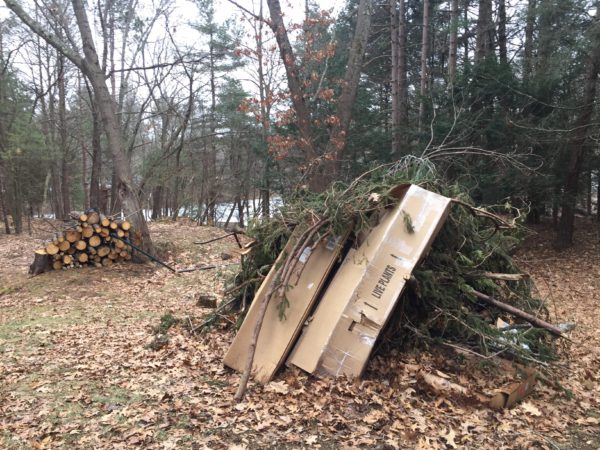 Mid-Winter Burn Pile: Ready to Light!