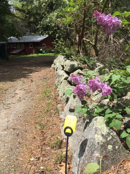 Lilac #8, en route to Accessible Porta-Potty