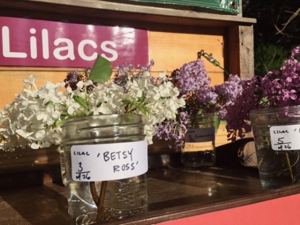 'Flower Show' Tray Offers Portable Access & Education