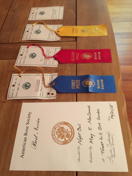 Best Novice, 1st, 2nd, 3rd Place Ribbons