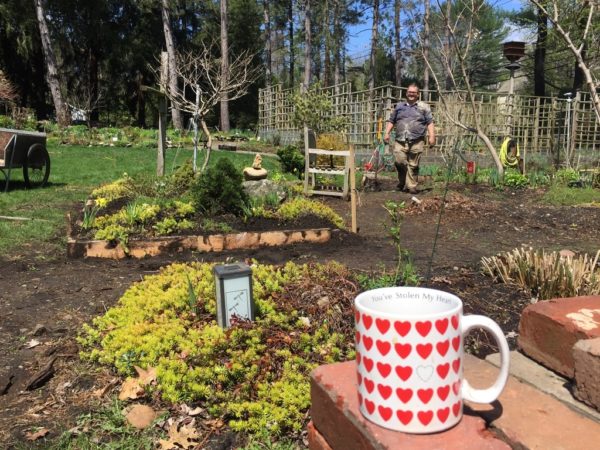 Karl, Building Accessible Gardens, Spring 2019