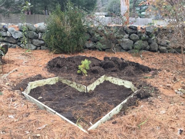 Heart-Shaped Tulip Bed Design Echoes Broken Heart Patio Design