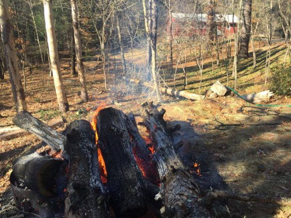 Winter Burn #2 in the Woods