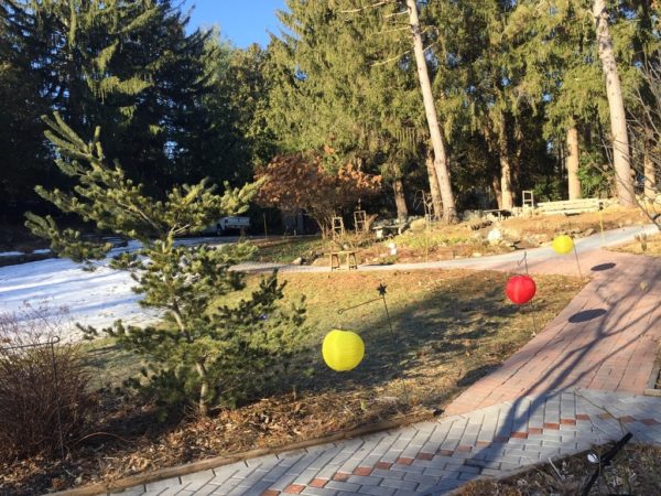 3 Lanterns at the Intersection: Cut Flowers, Kitchen & Ornamental Gardens