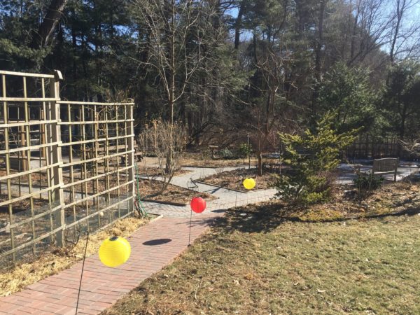 3 Lanterns = 3 Weeks Til Spring!
