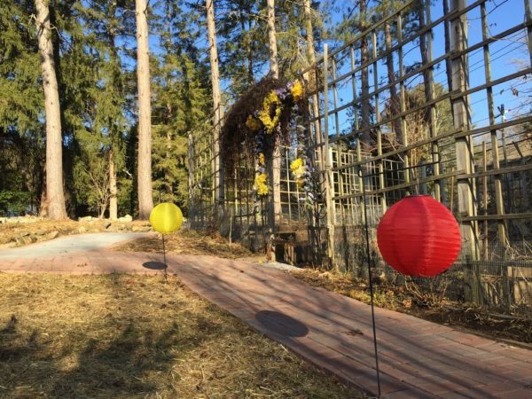 2 Lanterns = 2 Weeks Til Spring!