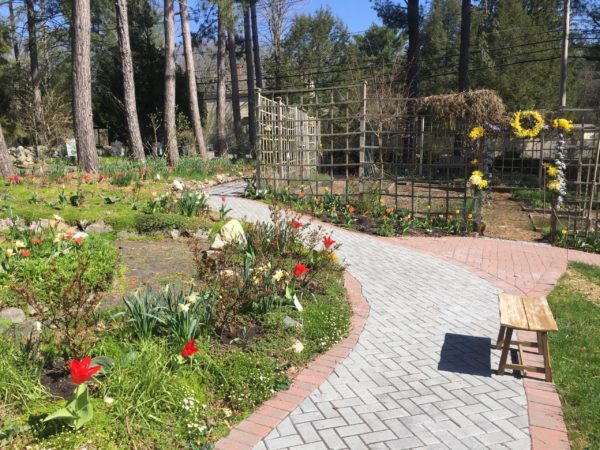 Sit on a Bench Overlooking the Colorful Circle Garden!