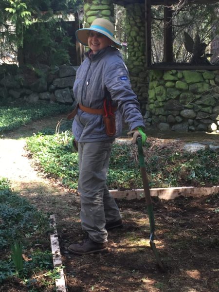 Mary Transplants Daffodil Bulbs Away from 4' Wide Trail Install
