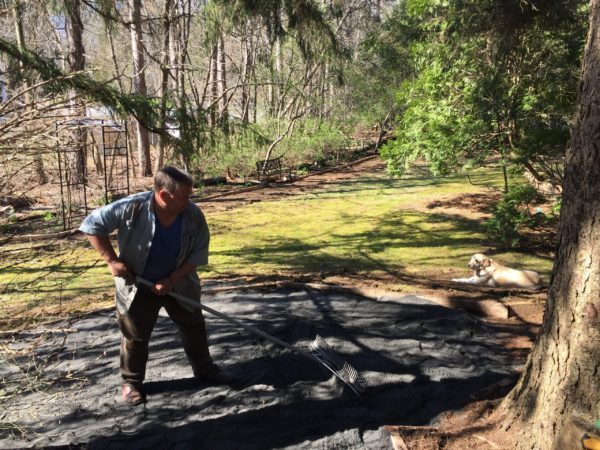 Karl Begins Stone Dust Fill and Raking
