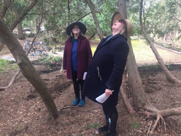 Linda and Joan Explore Tree Fort Beginnings
