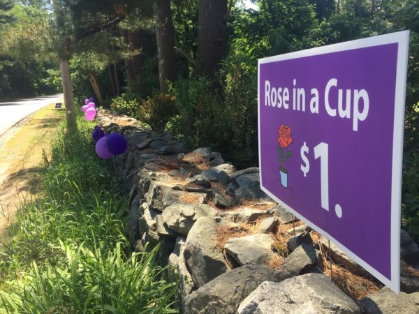 Rose in a Cup for $1 Street Sign