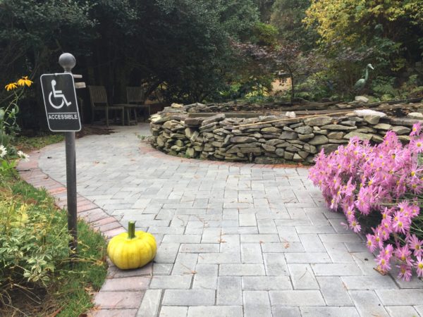 Accessible Fish Observation, at the Koi Pond