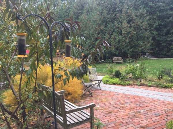Bird Observation Area, at Broken Heart Patio